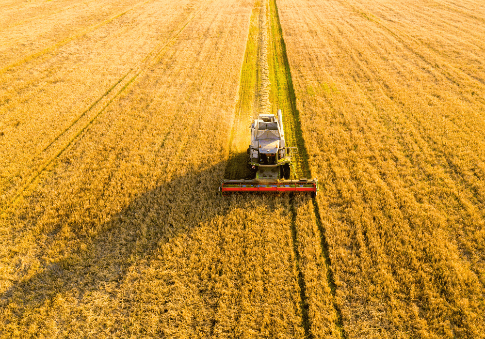 Suspensa busca e apreensão de maquinário agrícola de produtor em recuperação judicial