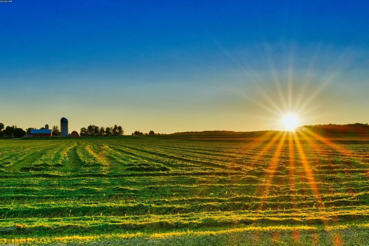 Defesa contra Leilão de Propriedade Rural