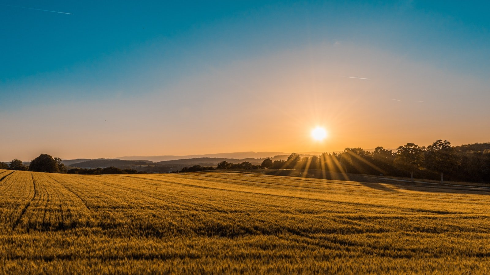 Prorrogação de Crédito Rural